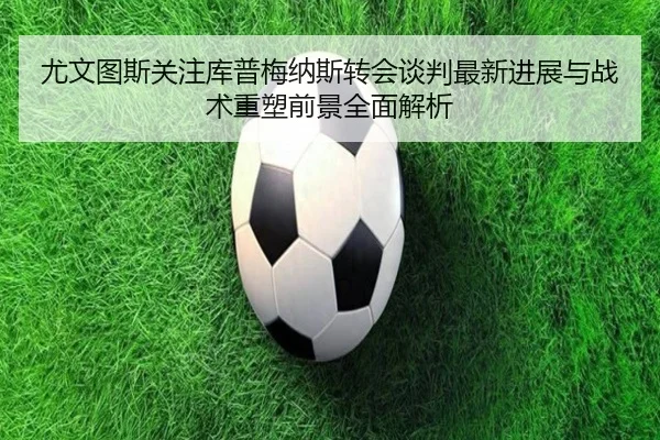 尤文图斯关注库普梅纳斯转会谈判最新进展与战术重塑前景全面解析