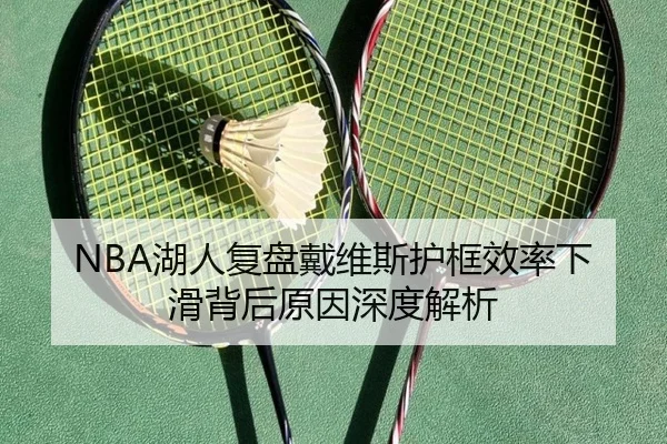 NBA湖人复盘戴维斯护框效率下滑背后原因深度解析